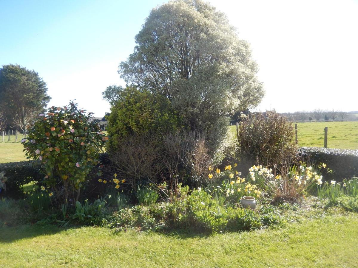 Bed and Breakfast Le Tregonnec, Pres De Morlaix, Roscoff Plouvorn Exterior foto