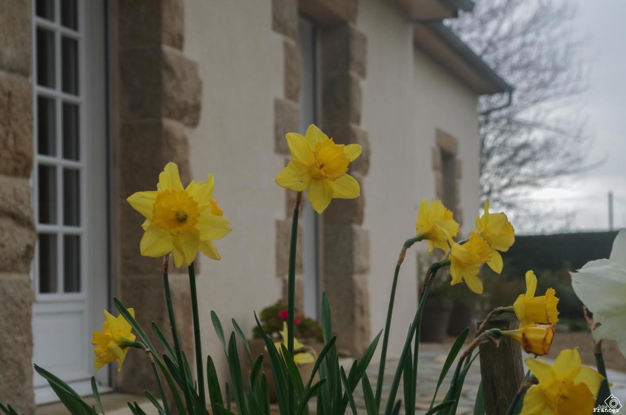 Bed and Breakfast Le Tregonnec, Pres De Morlaix, Roscoff Plouvorn Exterior foto