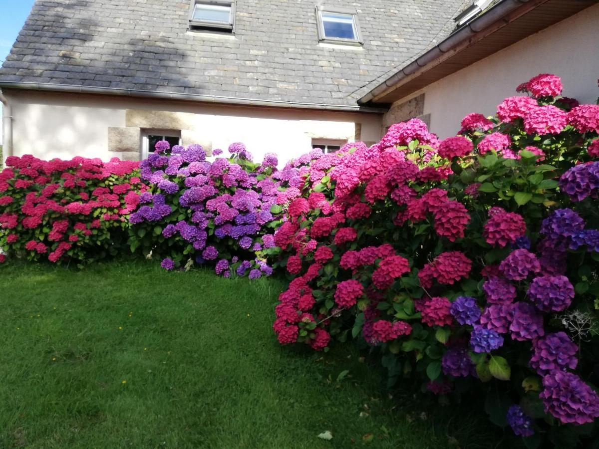 Bed and Breakfast Le Tregonnec, Pres De Morlaix, Roscoff Plouvorn Exterior foto